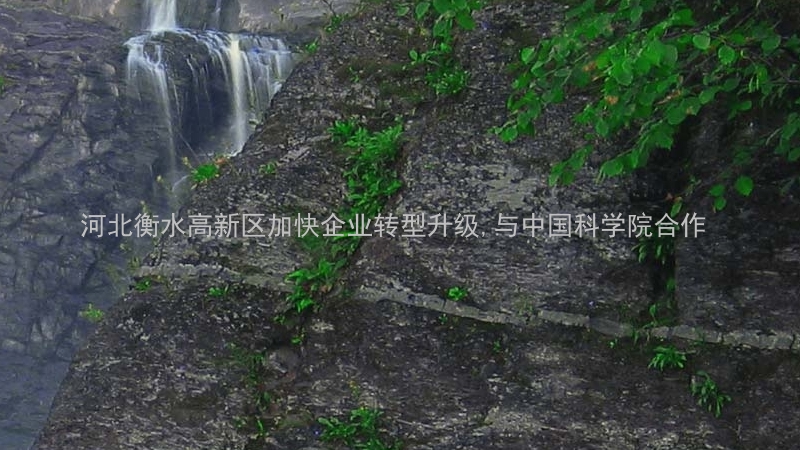 河北衡水高新区加快企业转型升级,与中国科学院合作