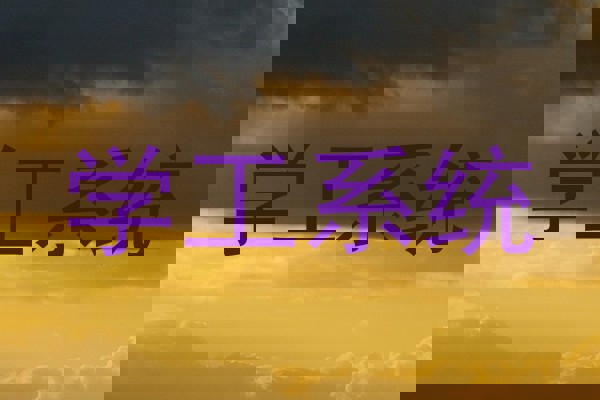 学工系统