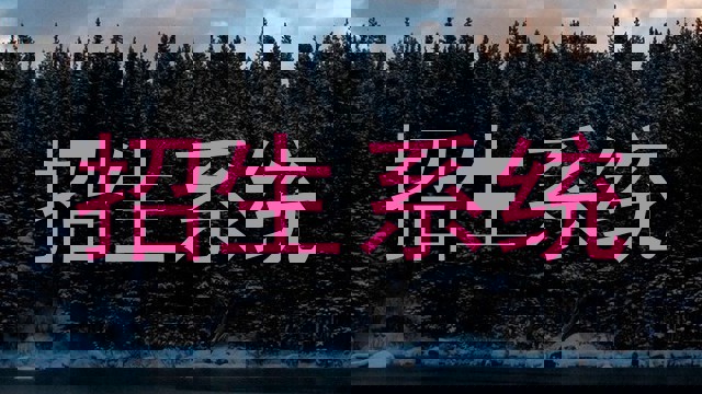 招生系统