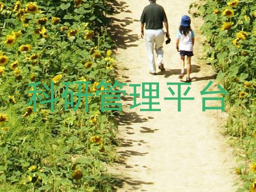 科研管理平台