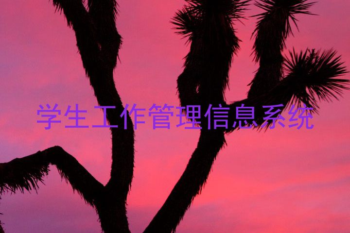 学生工作管理信息系统
