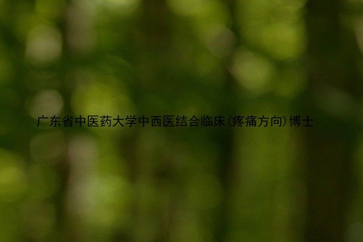广东省中医药大学中西医结合临床(疼痛方向)博士