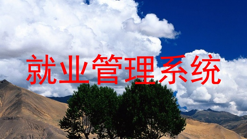 就业管理系统