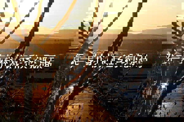 统一身份认证系统源码