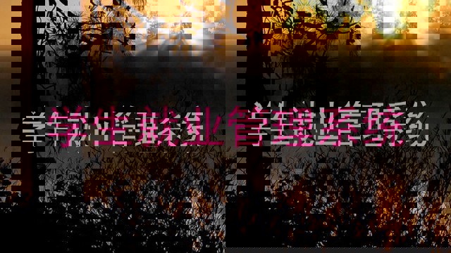 学生就业管理系统