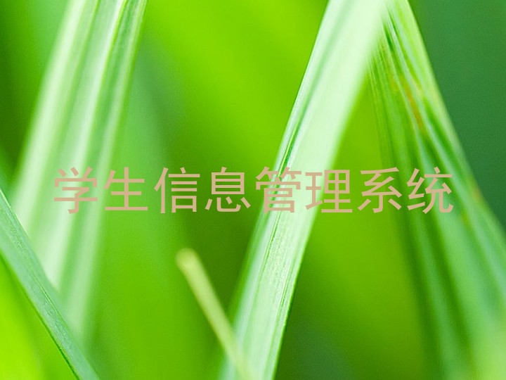 学生信息管理系统