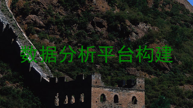 数据分析平台构建