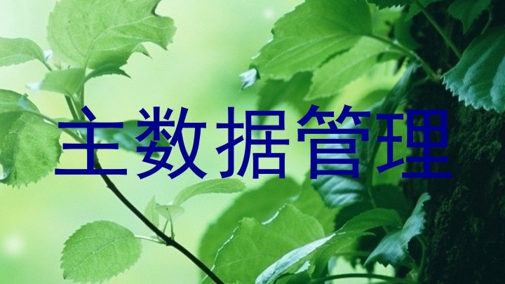 主数据管理