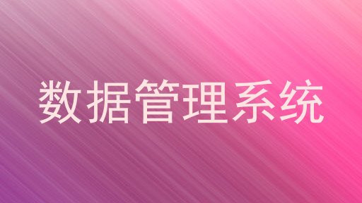 数据管理系统