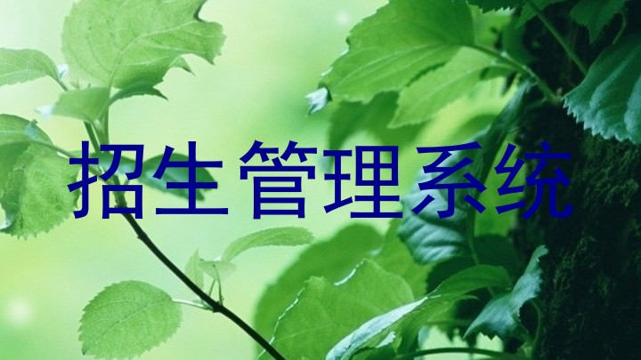 招生管理系统
