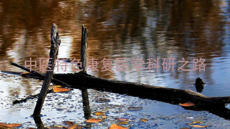中医特色康复医学科研之路