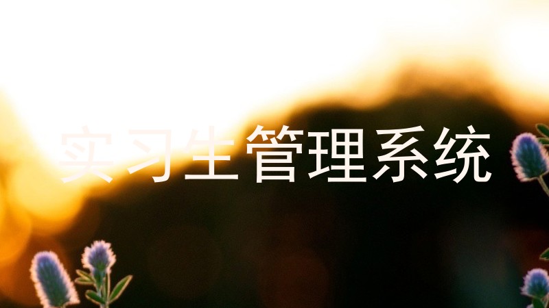 实习生管理系统