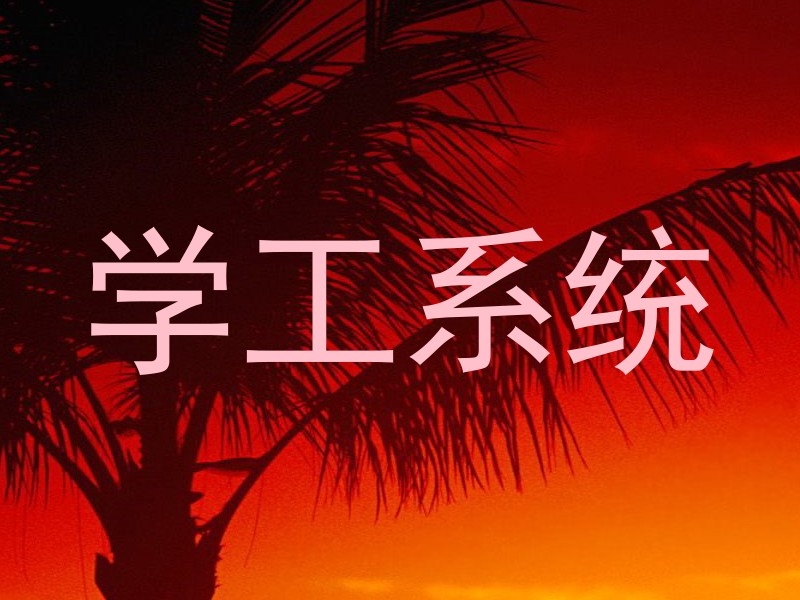 学工系统