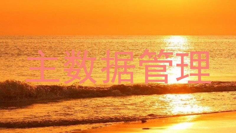 主数据管理