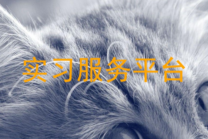实习服务平台