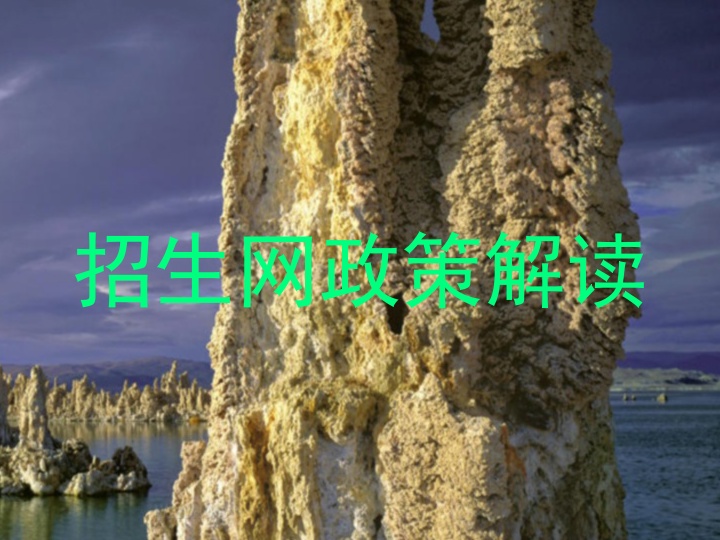 招生网政策解读