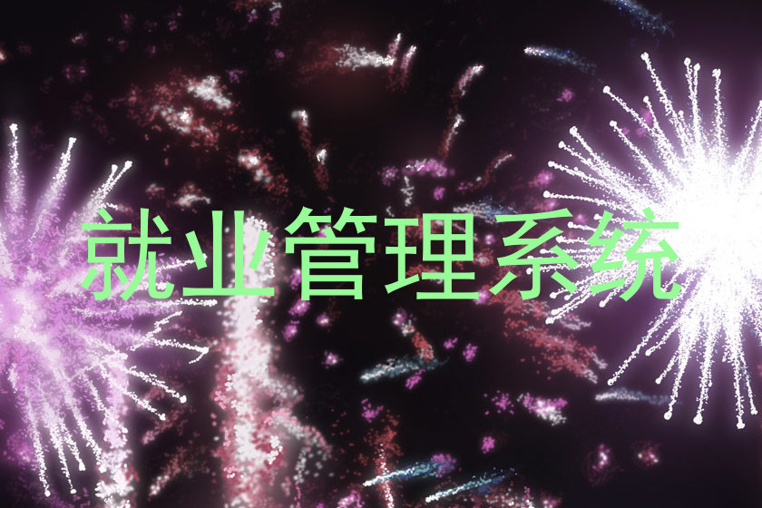 就业管理系统