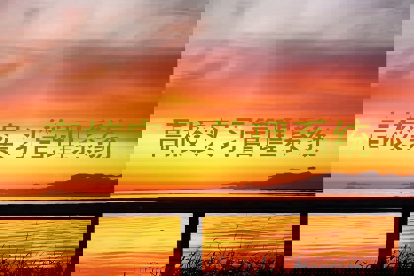 高校实习管理系统