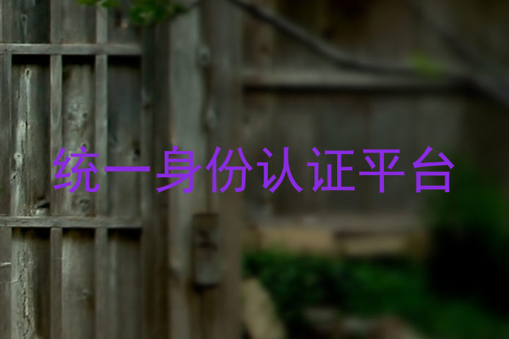统一身份认证平台