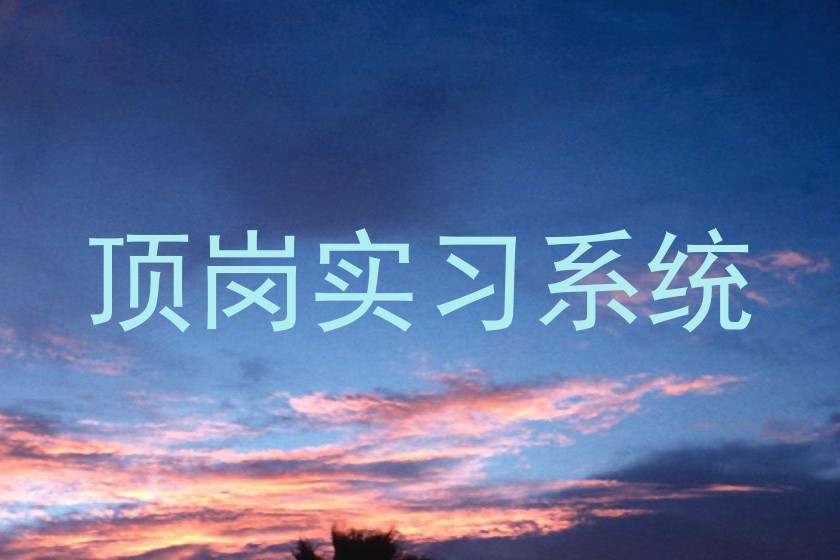 顶岗实习系统