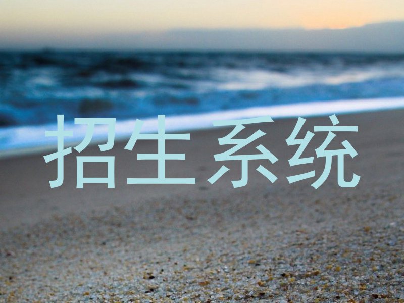 招生系统
