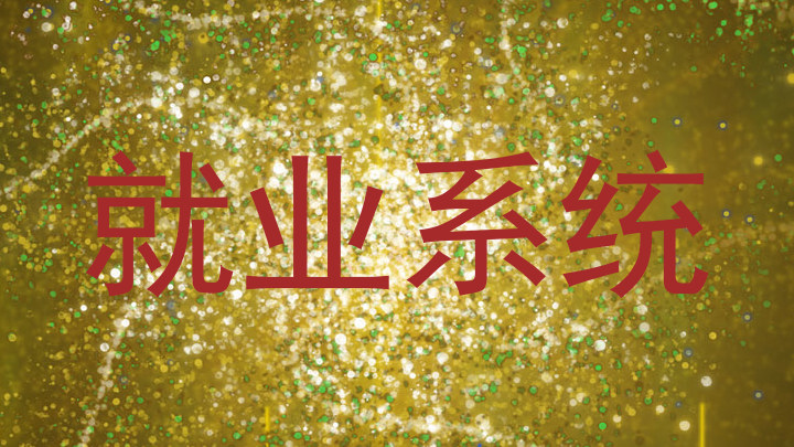 就业系统