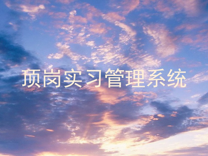 顶岗实习管理系统