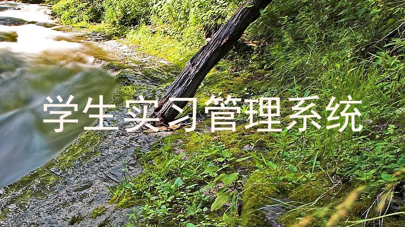 学生实习管理系统