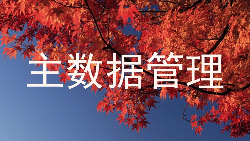 主数据管理