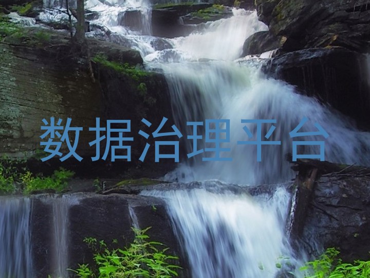数据治理平台