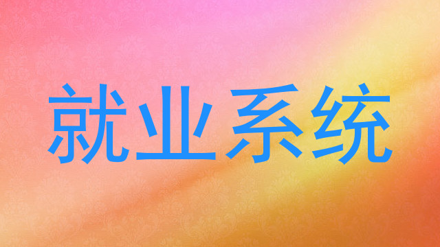 就业系统