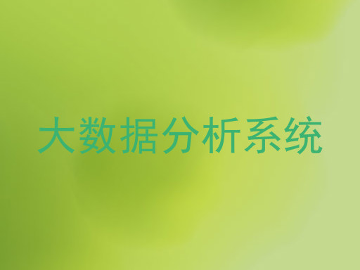 大数据分析系统