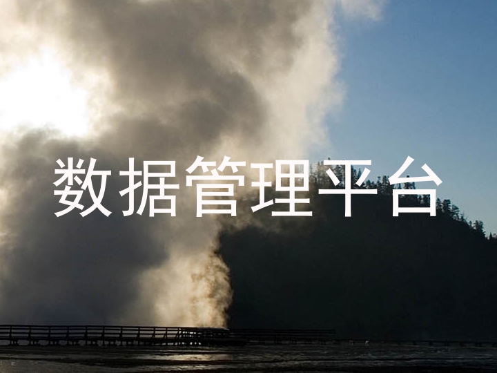 数据管理平台
