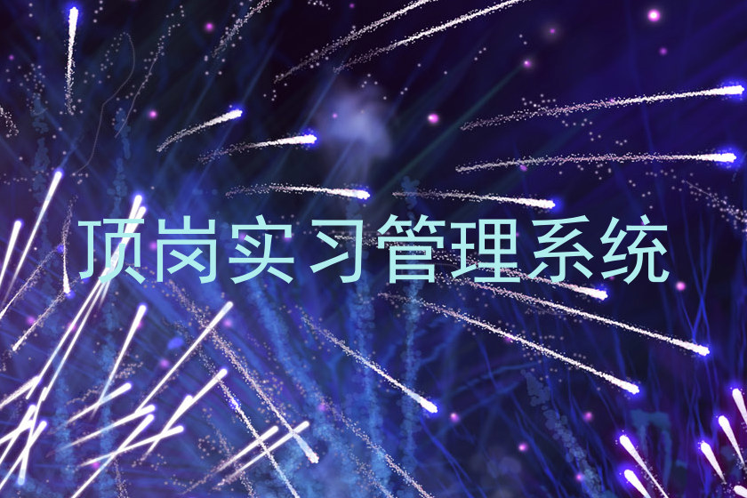 顶岗实习管理系统