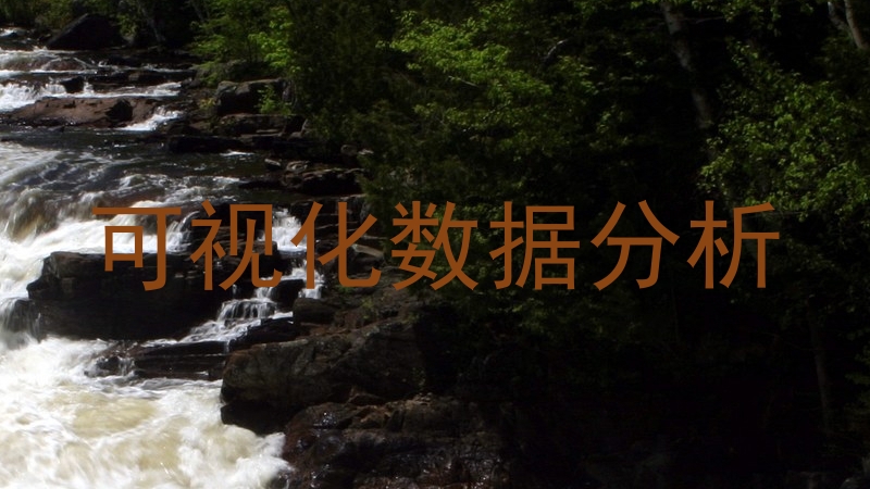 可视化数据分析