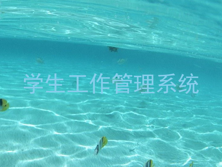 学生工作管理系统