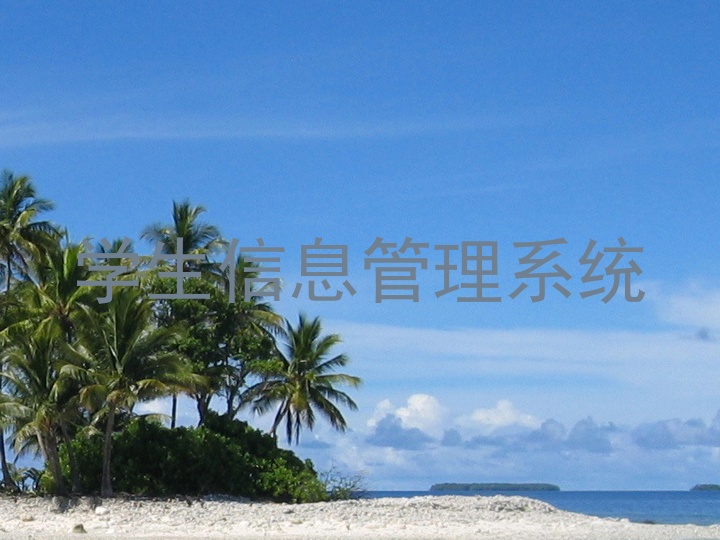 学生信息管理系统