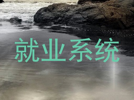 就业系统