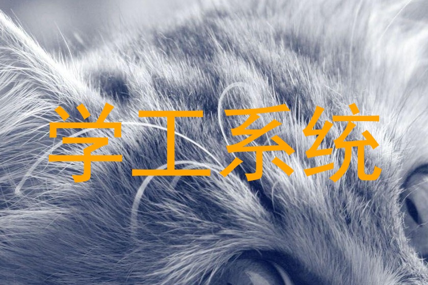 学工系统