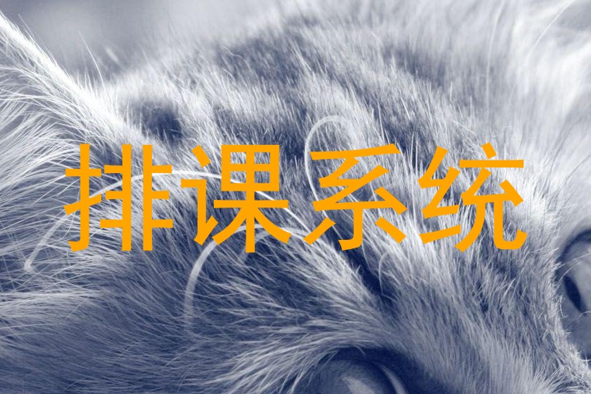 排课系统