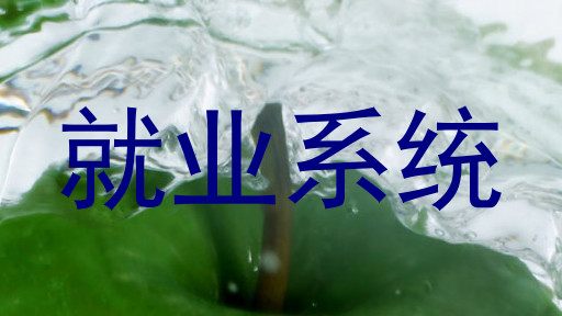 就业系统