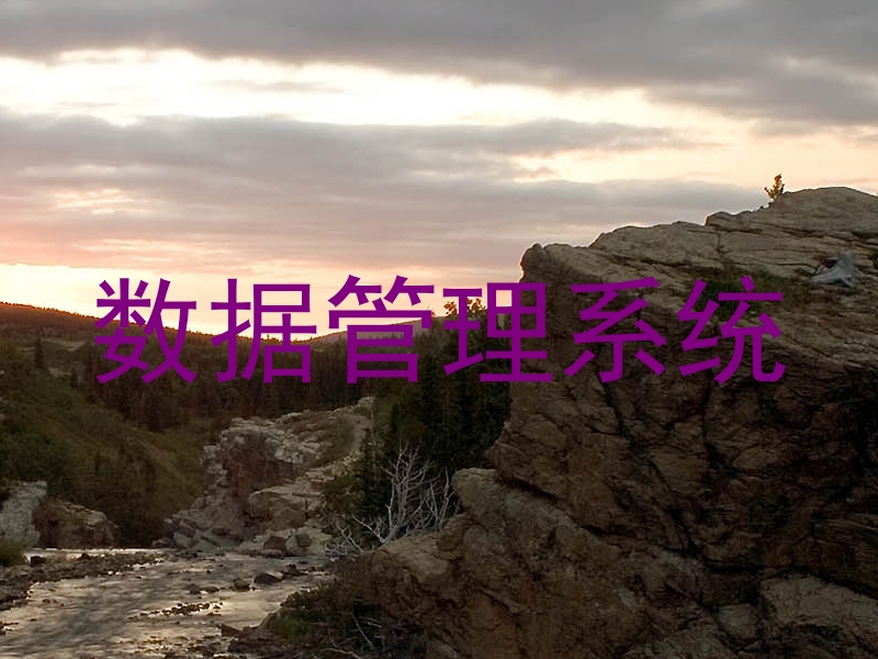 数据管理系统