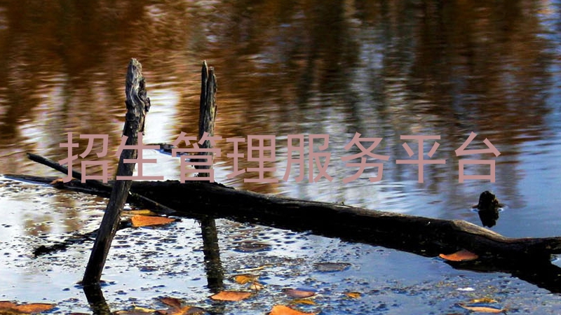 招生管理服务平台