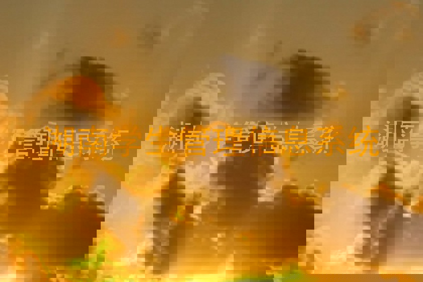 湖南学生管理信息系统