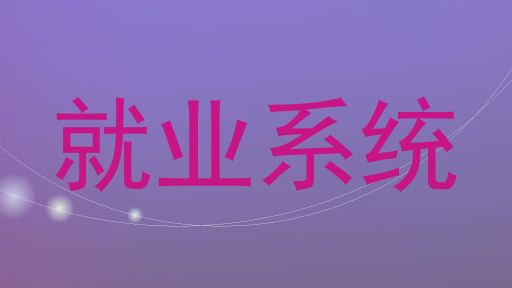 就业系统