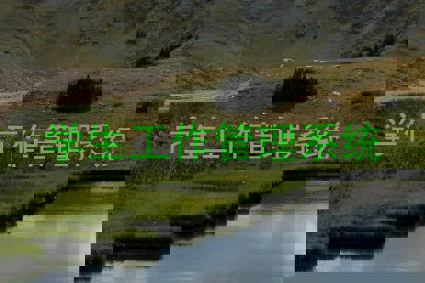 学生工作管理系统