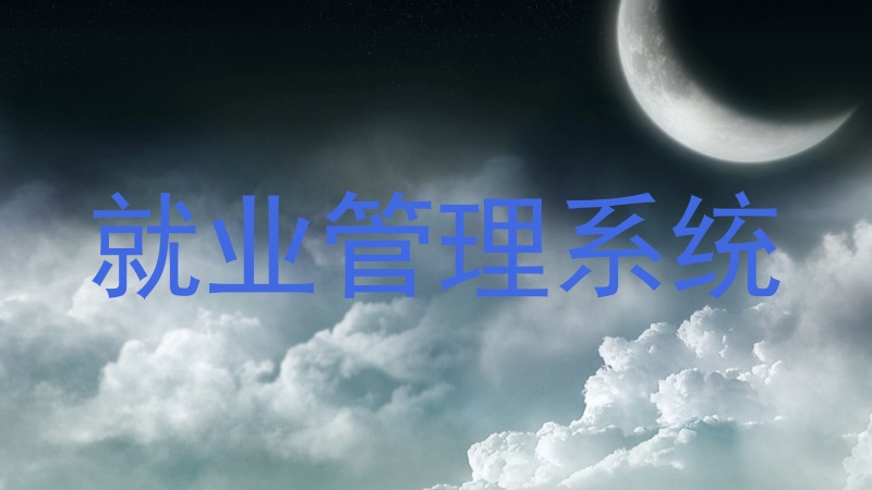 就业管理系统