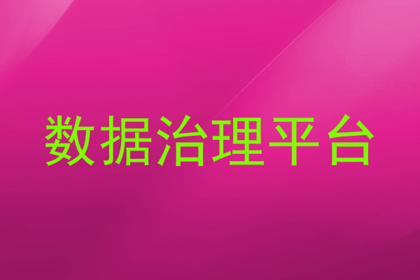 数据治理平台