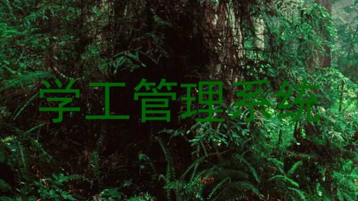 学工管理系统