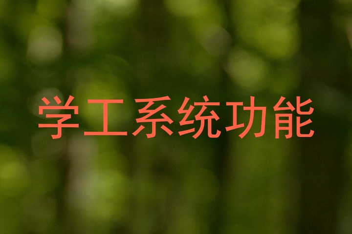 学工系统功能